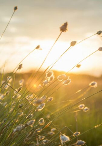 Słoneczna-gmina-częstochowa