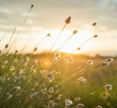 Słoneczna-gmina-częstochowa